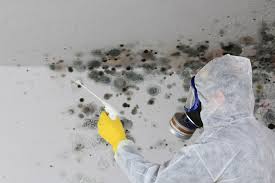 Best Attic Mold Removal  in Grantsburg, WI